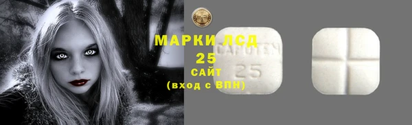 apvp Алексин