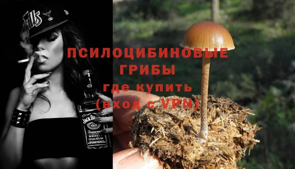 apvp Алексин
