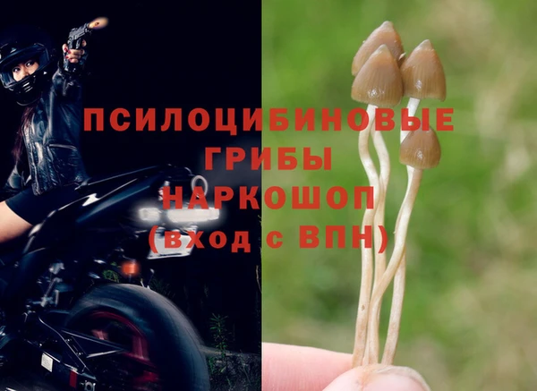 кокаин Алексеевка